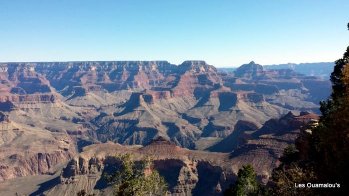 Grand Canyon