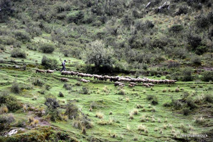 Bains de Tambo Machay