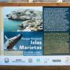 Islas Marietas et les baleines
