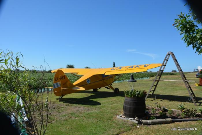 Avion jaune de 60 ans