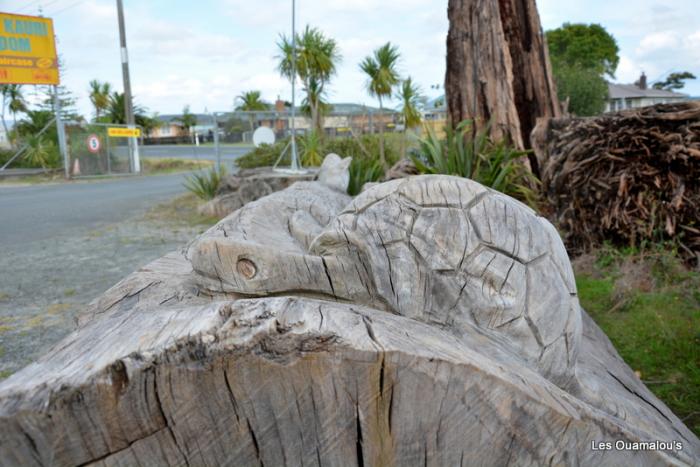 Musée du Kauri