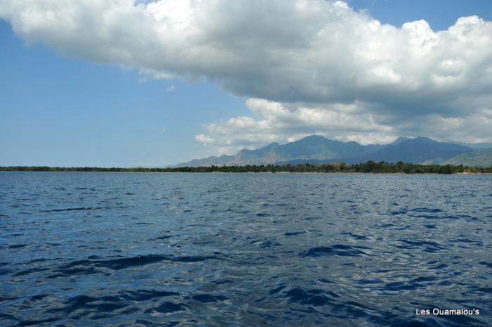 Plongée à Pulau Menjangan