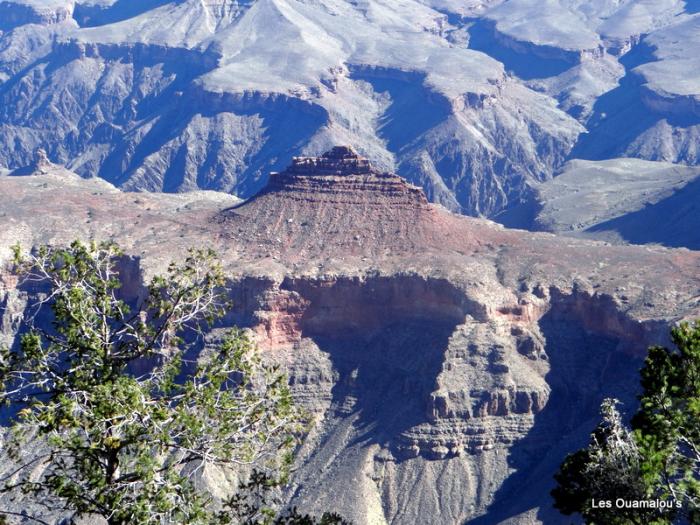 Grand Canyon