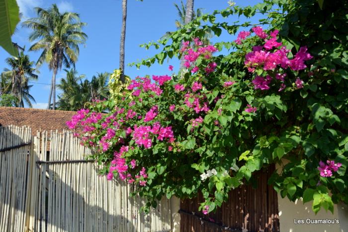 Notre villa à Lovina Beach