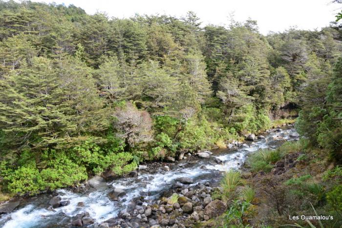 Tongariro National Park