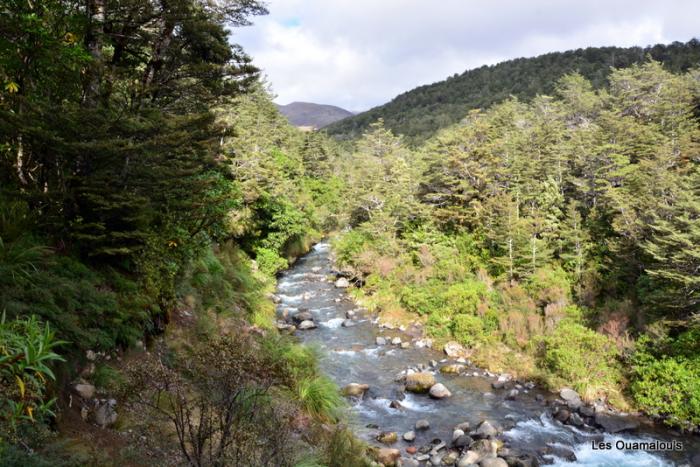 Tongariro National Park