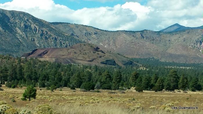 Arizona , c'et aussi des montagnes