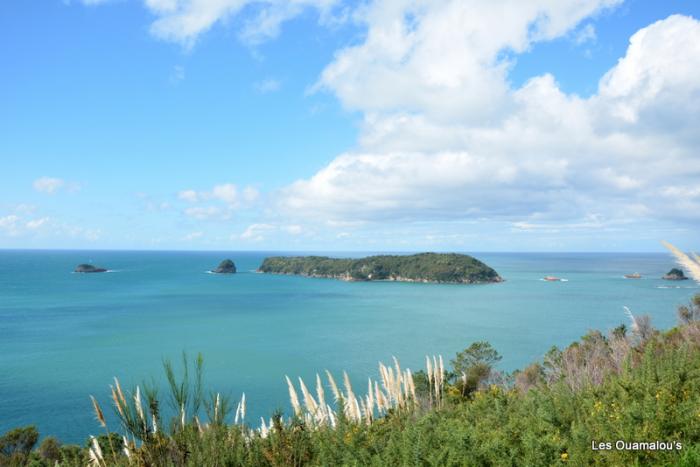 Cathedral Cove