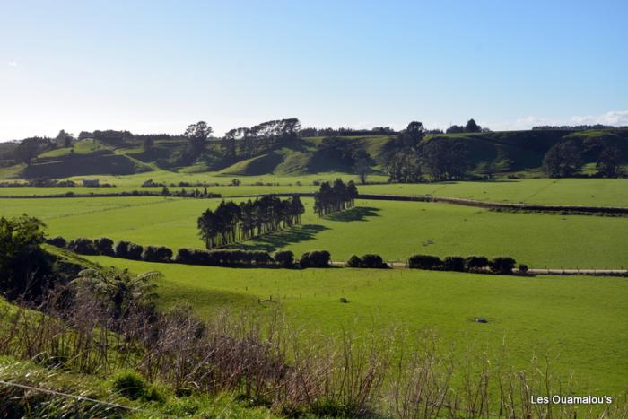 Egmont National Park