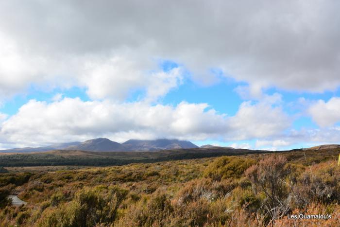 Tongariro National Park