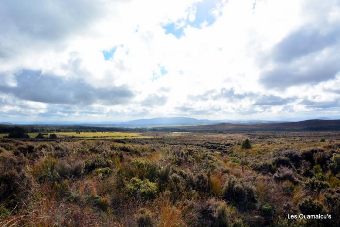 Tongariro National Park