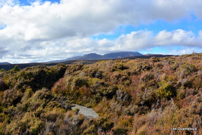 Tongariro National Park