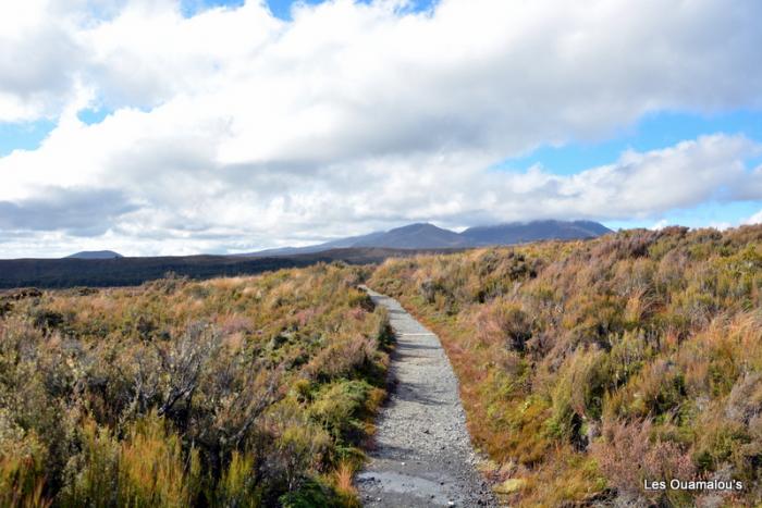 Tongariro National Park