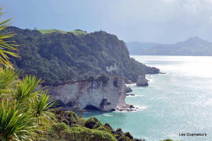 Cathedral Cove