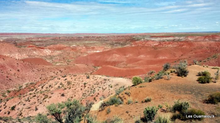 Painted Desert