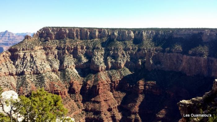 Grand Canyon