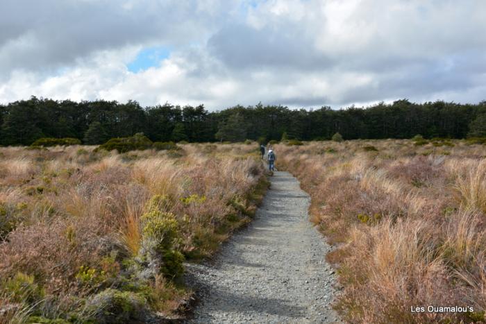 Tongariro National Park