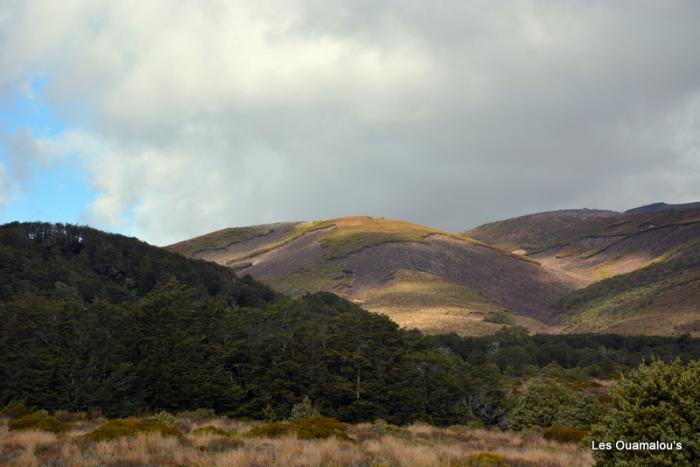 Tongariro National Park