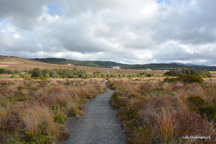 Tongariro National Park