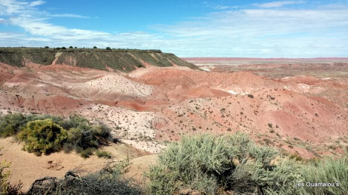 Painted Desert