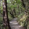 Tongariro National Park