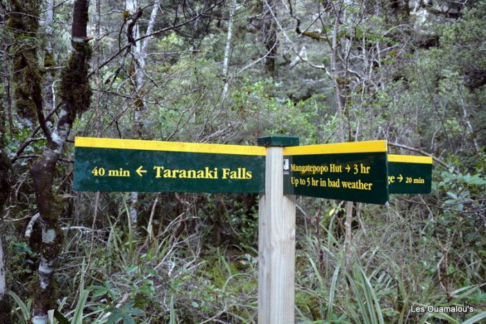 Tongariro National Park