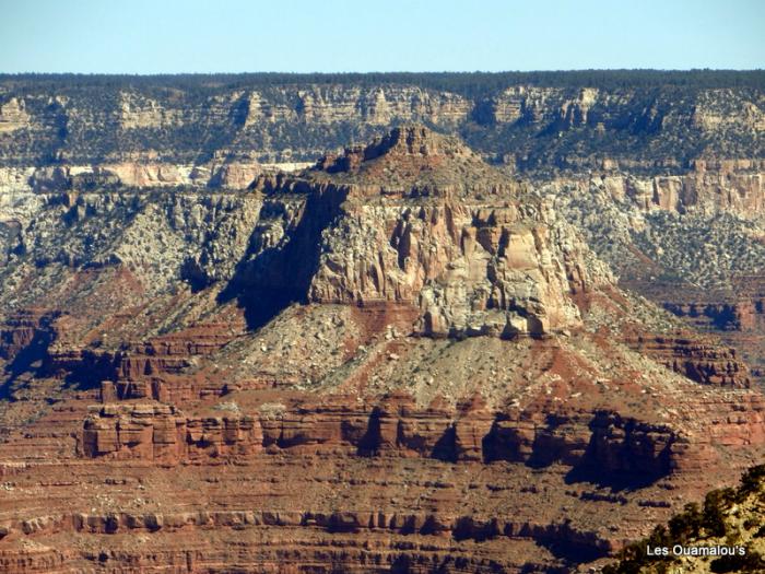 Grand Canyon