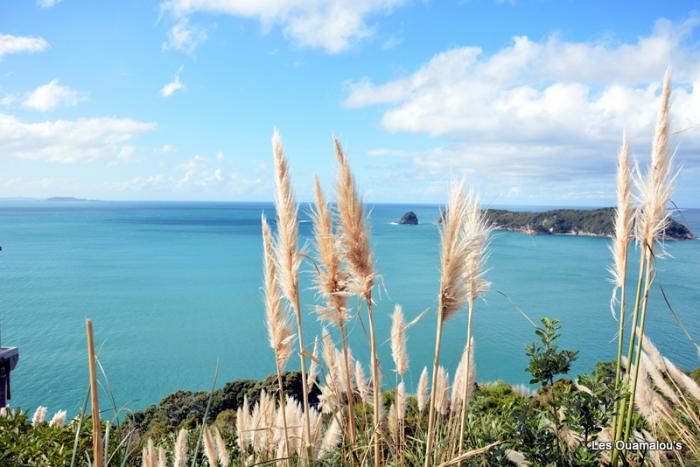 Cathedral Cove