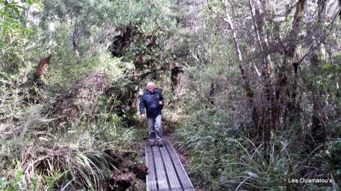 Tongariro National Park