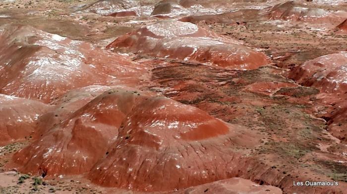 Painted Desert