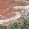 Painted Desert