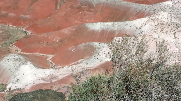 Painted Desert