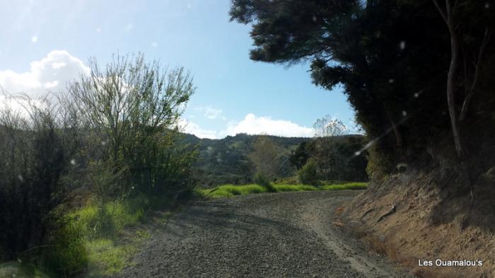 Waikere Boulders