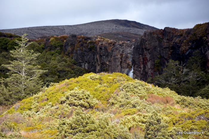 Tongariro National Park