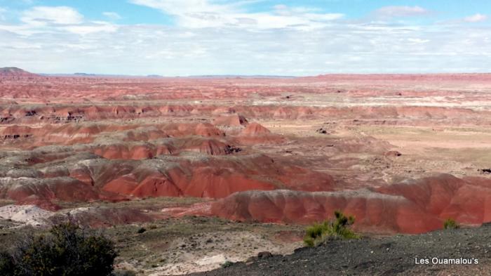 Painted Desert