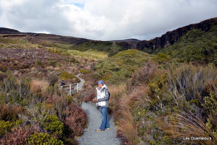 Tongariro National Park