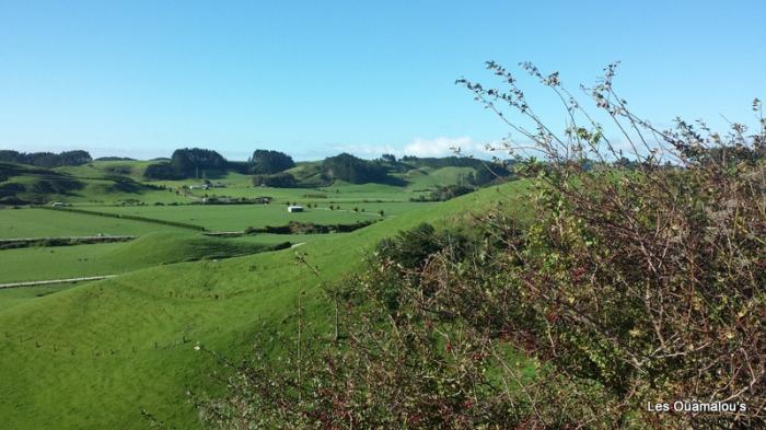 Egmont National Park