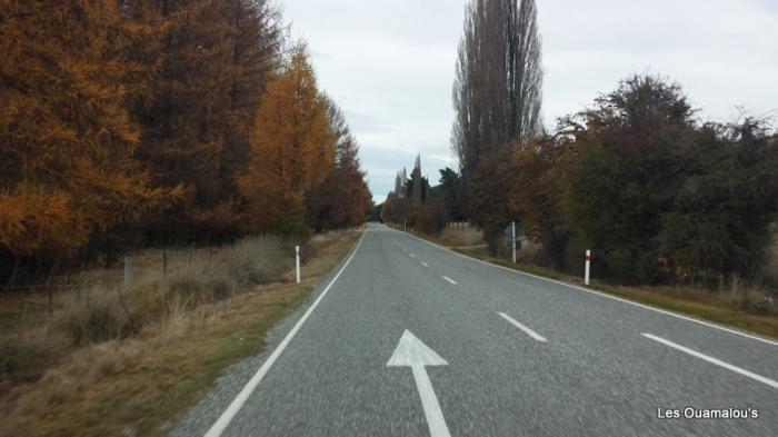 Sur la route de Queenstown