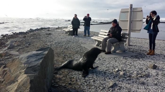 Kaikoura