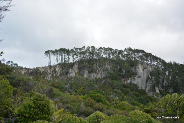 Cathedral Cove