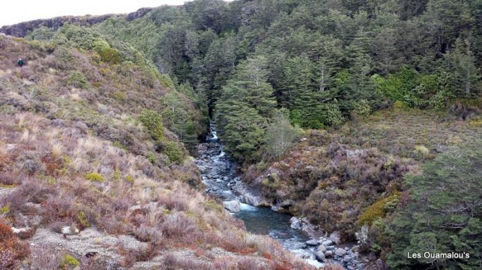 Tongariro National Park