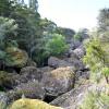 Waikere Boulders