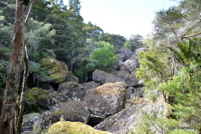 Waikere Boulders