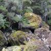 Waikere Boulders