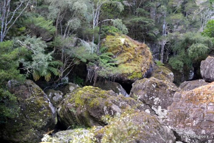 Waikere Boulders