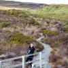 Tongariro National Park