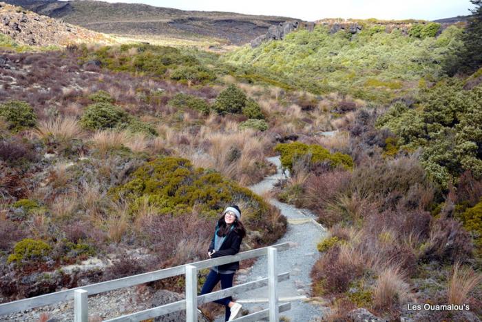 Tongariro National Park