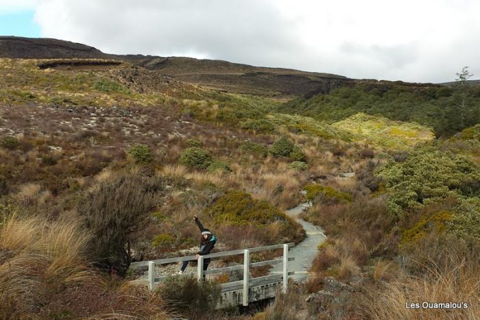 Tongariro National Park