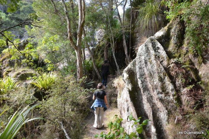 Waikere Boulders