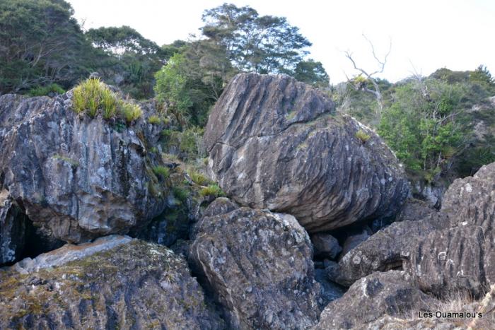 Waikere Boulders